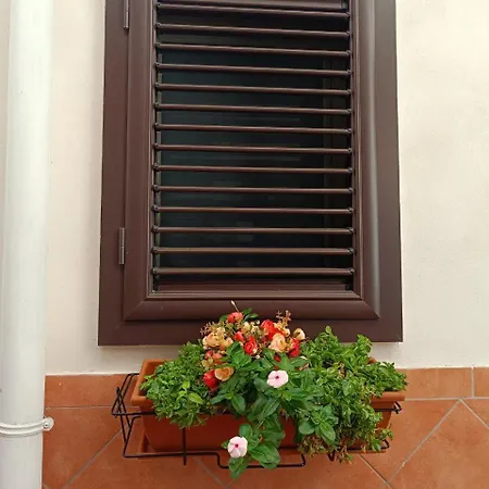 Oracolo Di Delfi