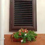 Oracolo Di Delfi