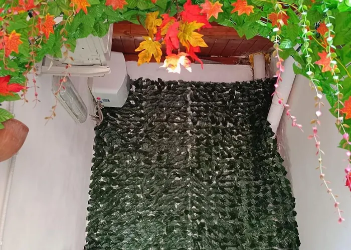 Oracolo Di Delfi